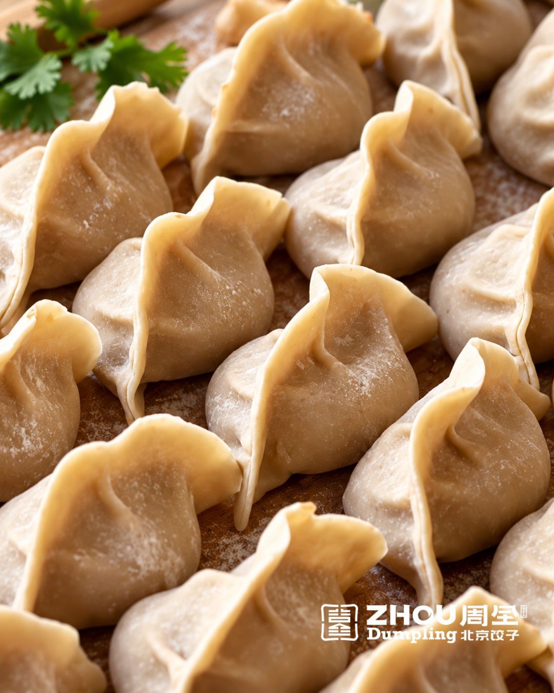 Raviolis chinois faits main disposés en rangées serrées au restaurant ZHOU DUMPLING Malakoff.